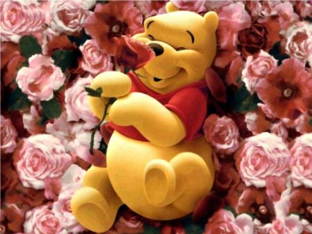 winnie the pooth