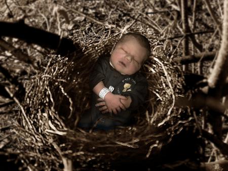 bebe annegeddes